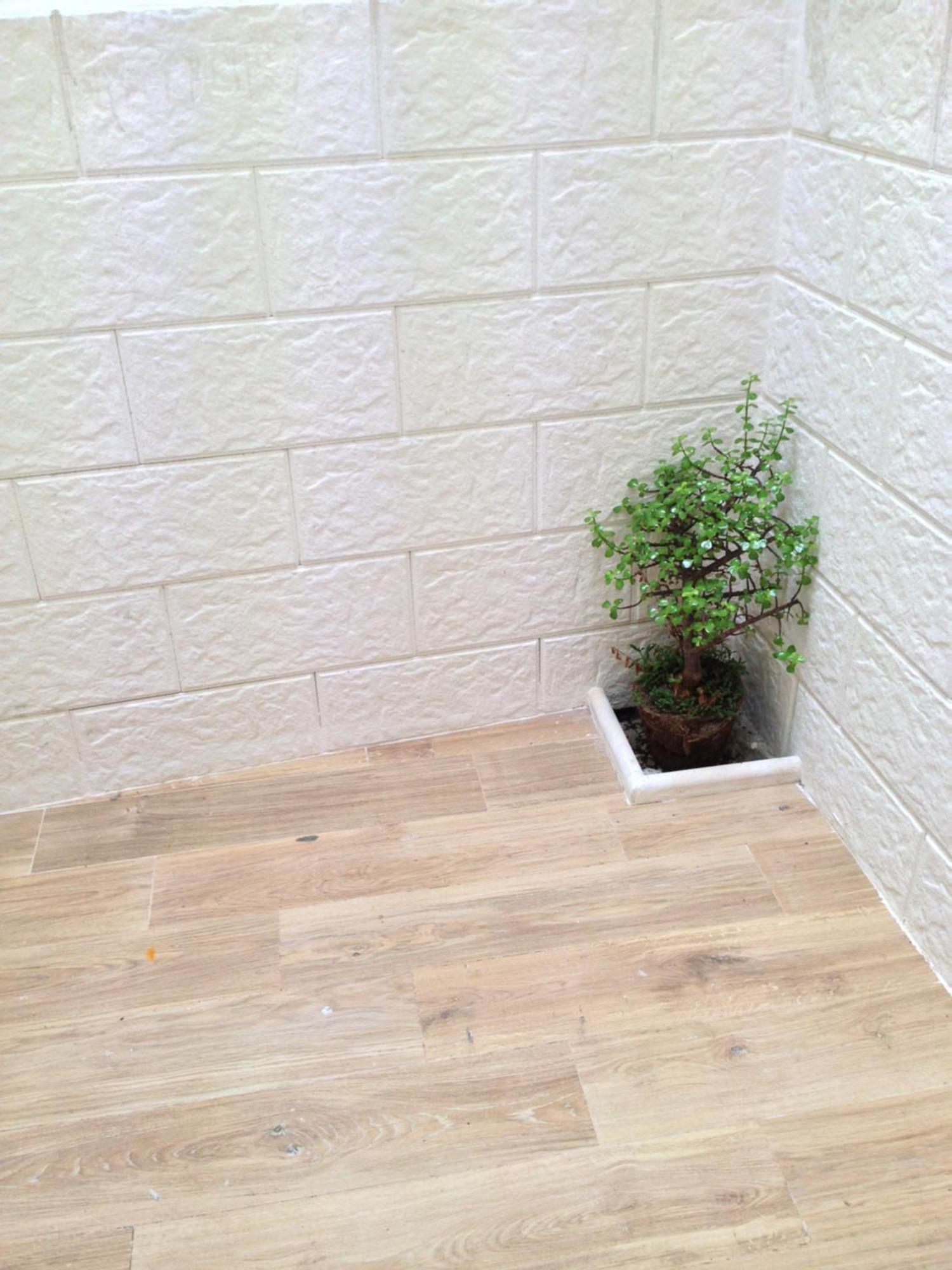 דירות ברינדיזי Casa Petra - Mini Open Space מראה חיצוני תמונה